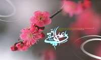 ولادت دهمین گلبرگ آسمانی، آیینه‏ ی عصمت، ناخدای کشتی هدایت، حضرت امام هادی علیه‏ السلام بر پیروان ولایت خجسته باد
